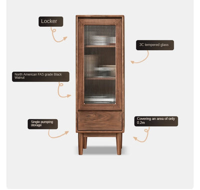 Modern Walnut Storage Cabinet